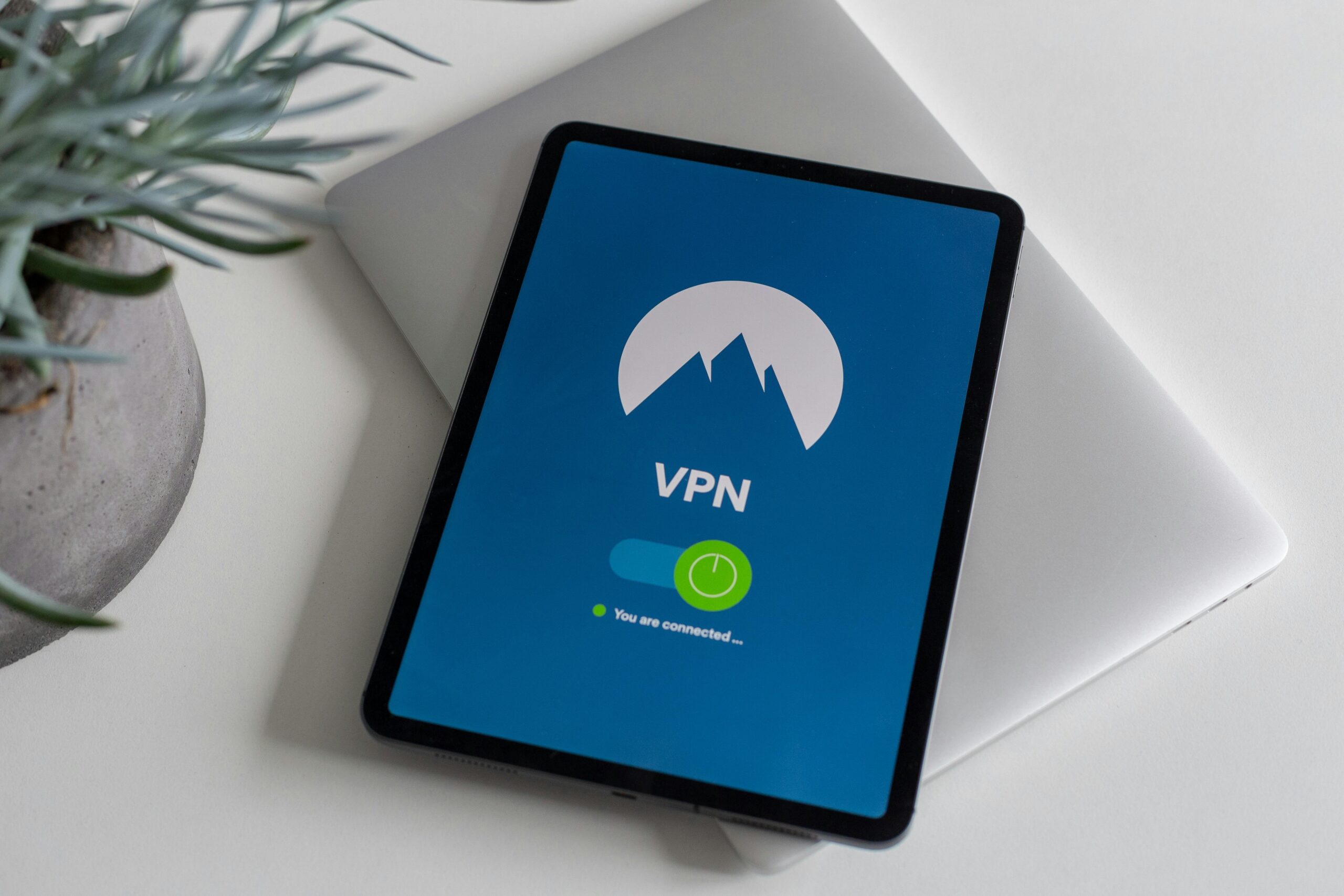 Why You Need a VPN in 2025: Benefits, Risks & Best Options